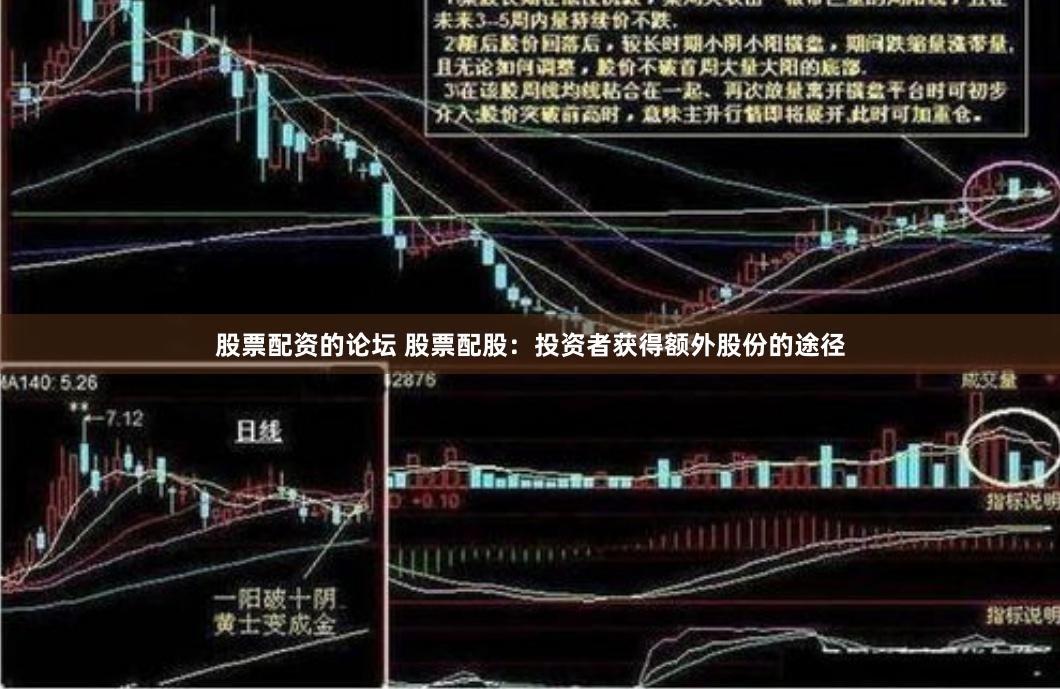股票配资的论坛 股票配股：投资者获得额外股份的途径