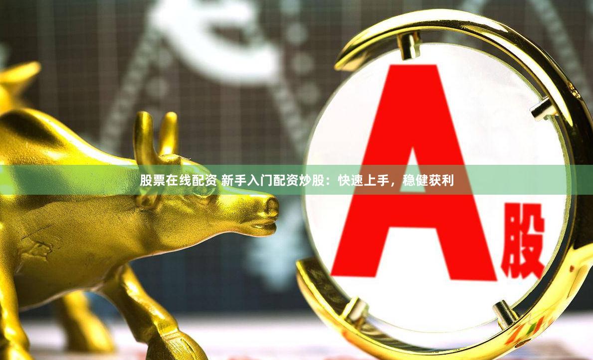 股票在线配资 新手入门配资炒股：快速上手，稳健获利