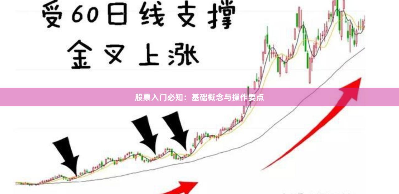 股票入门必知：基础概念与操作要点