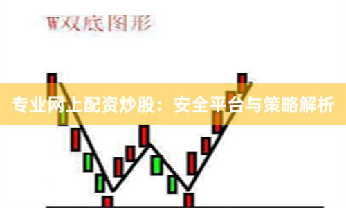 专业网上配资炒股：安全平台与策略解析